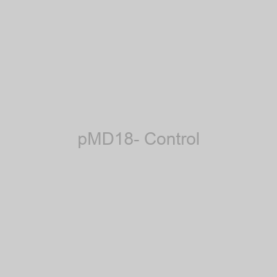 pMD18- Control